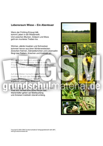 Lebensraum-Wiese-Ein-Abenteuer-Fotos-2A.pdf